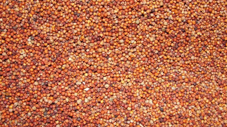 Calcium rich foods in Telugu