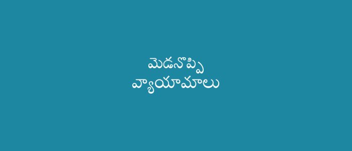 Neck Pain Exercises in Telugu