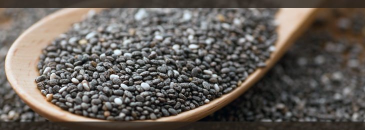 CHIA SEEDS in Telugu