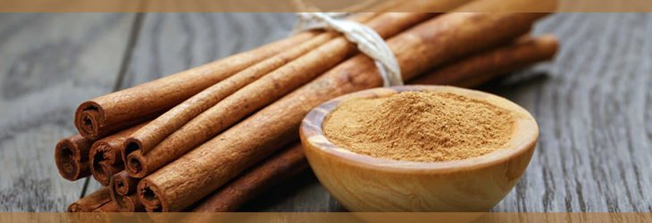 Cinnamon-in-Telugu-దాల్చిన