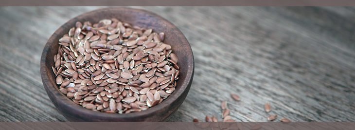 Flax Seeds in Telugu
