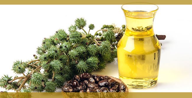 Castor Oil in Hindi