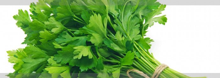 Parsley in Hindi