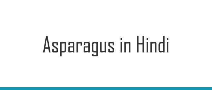 Asparagus in Hindi