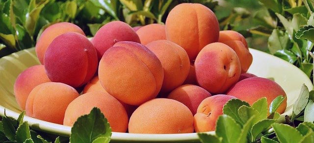 Apricot in Hindi