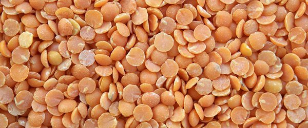 Lentils in Hindi