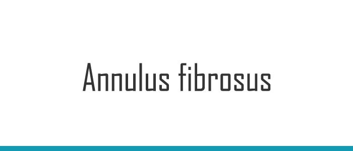 Annulus fibrosus