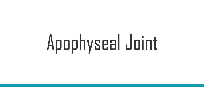 Apophyseal Joint