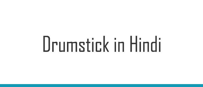 Drumstick in Hindi