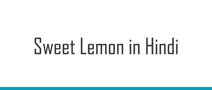 Sweet Lemon in Hindi