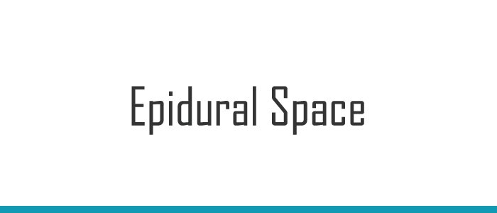 epidural space