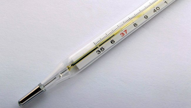 High Fever - To wrap or not?
