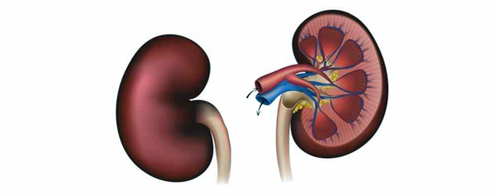 Dialysis A comprehensive Guide