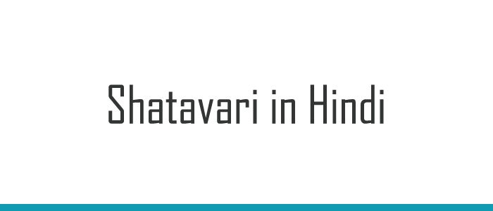 Shatavari in Hindi