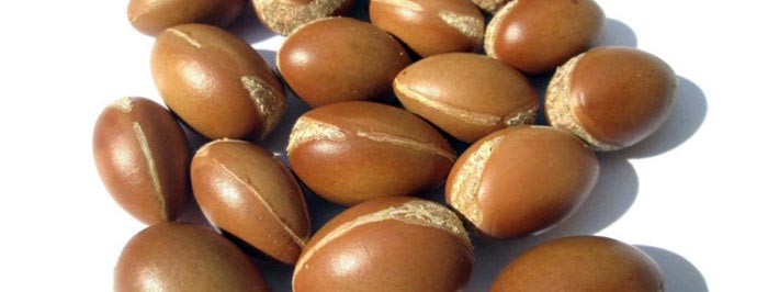 Argan oil in Hindi