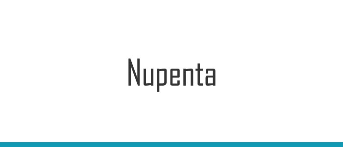 Nupenta