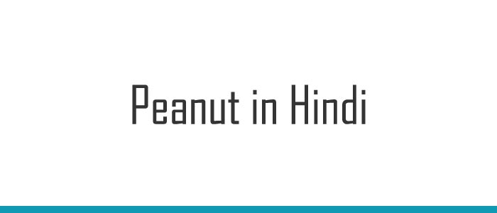 Peanut in Hindi