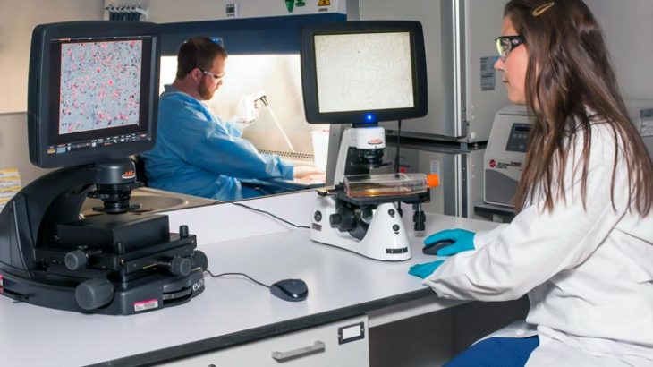 Cord Blood Banking