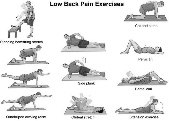 Physiotherapy for low back pain Physiotherapy exercises for low back pain