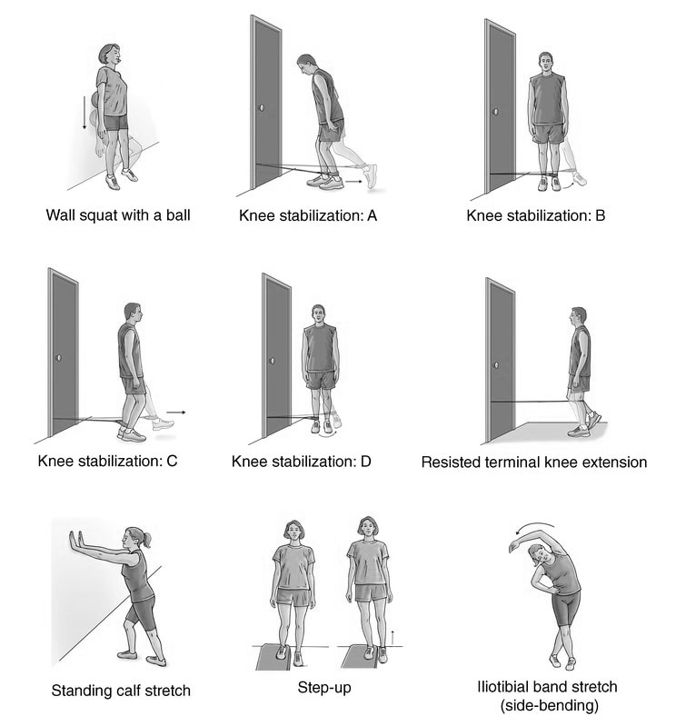 exercises for knee strength exercises to prevent or delay damage of knee joint due to osteoarthritis